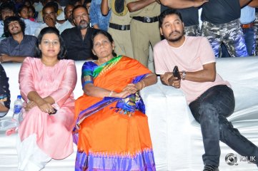 Naa Peru Surya Naa Illu India Pre Release Event Photos